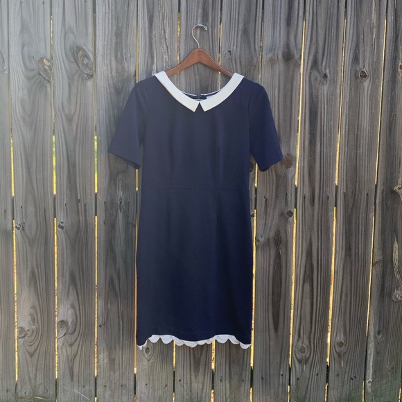 Navy Peter Pan collar dress - Picture 1 of 5